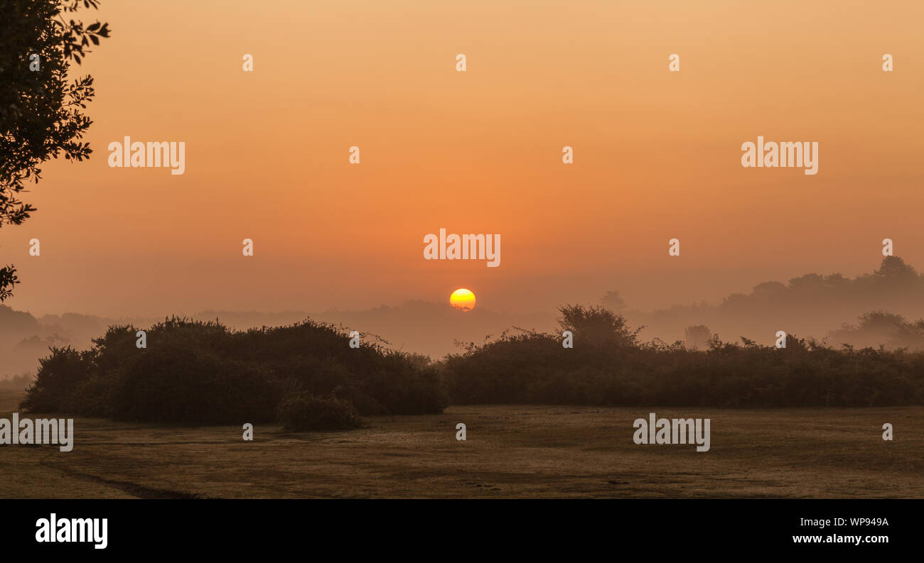 Sun Rise neuer Wald bournemouth UK Stockfoto