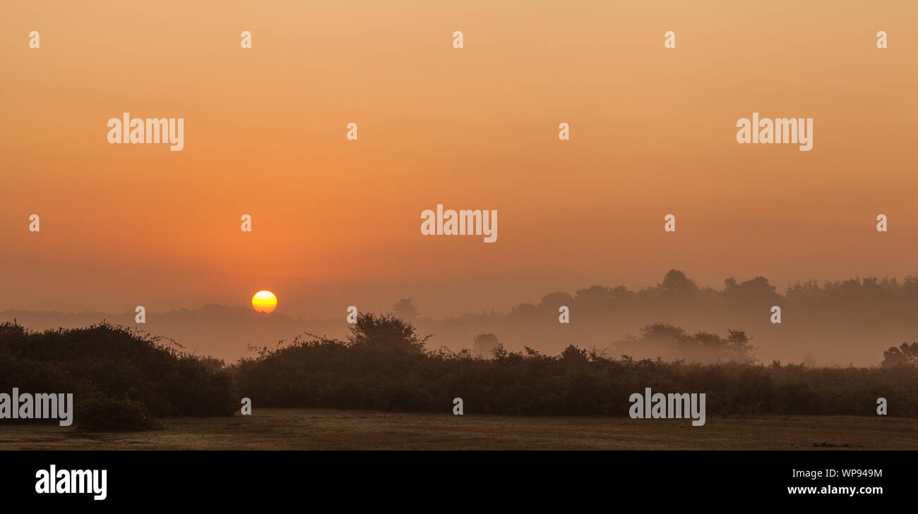 Sun Rise neuer Wald bournemouth UK Stockfoto