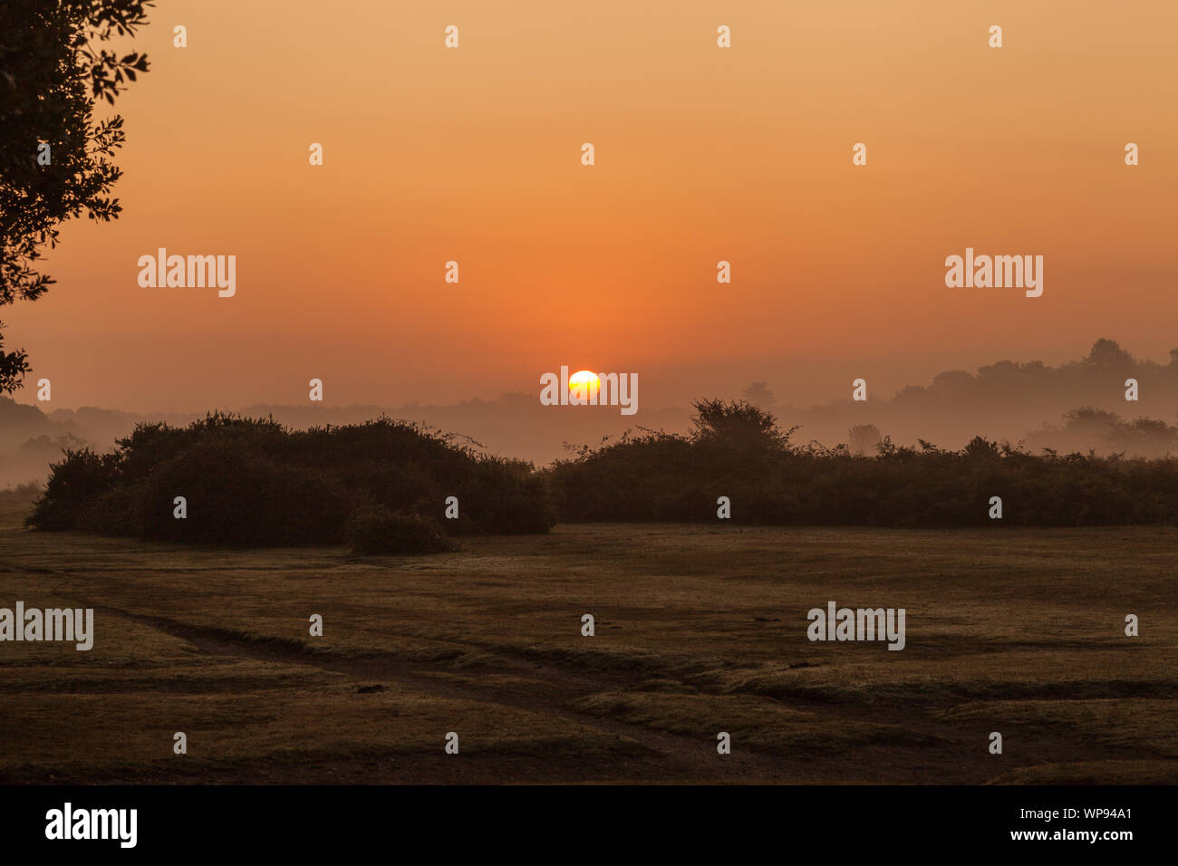 Sun Rise neuer Wald bournemouth UK Stockfoto