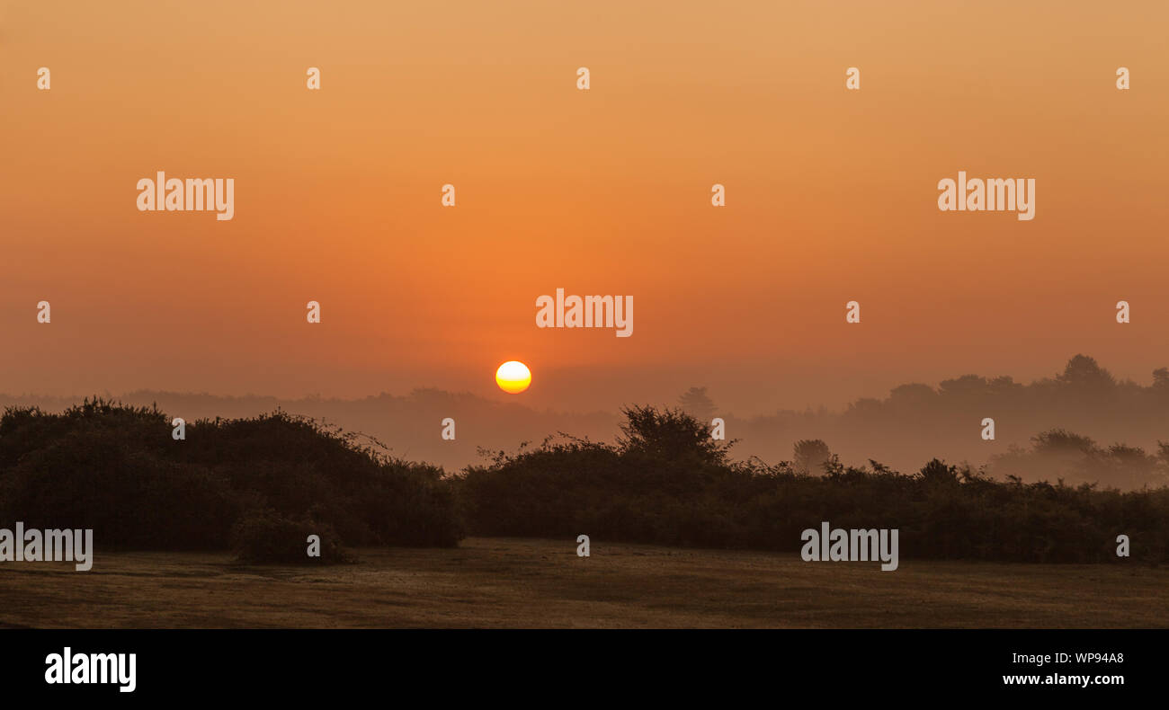 Sun Rise neuer Wald bournemouth UK Stockfoto