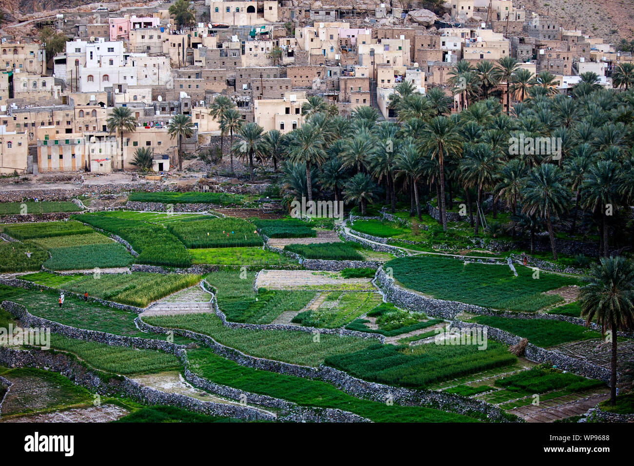 Balad Sayt Dorf in der Nähe von Jebel Shams, Oman Stockfoto