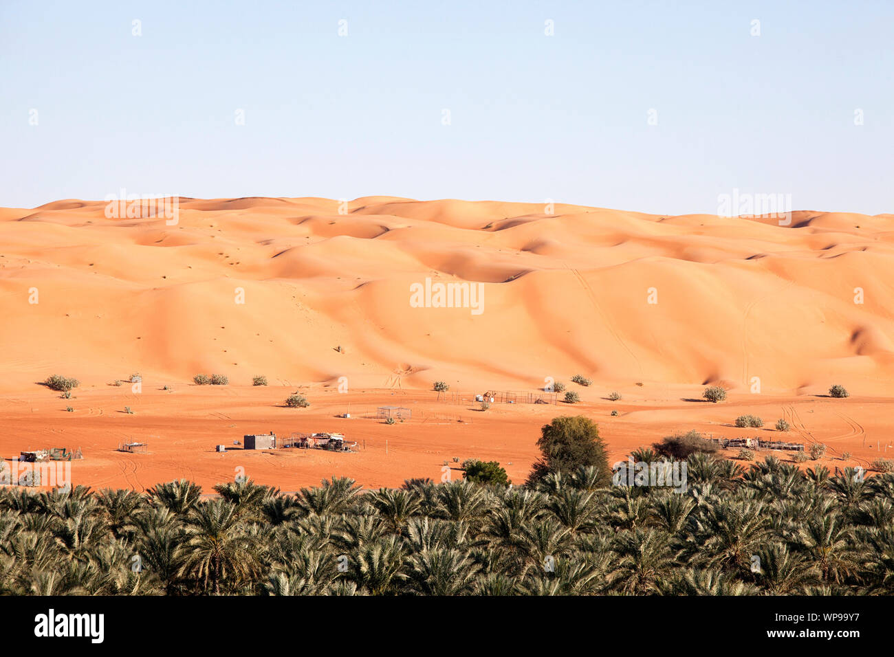 Beduinensiedlung mit Kamelen und Ziegen in die Wahiba Sands Wüste im Oman Stockfoto