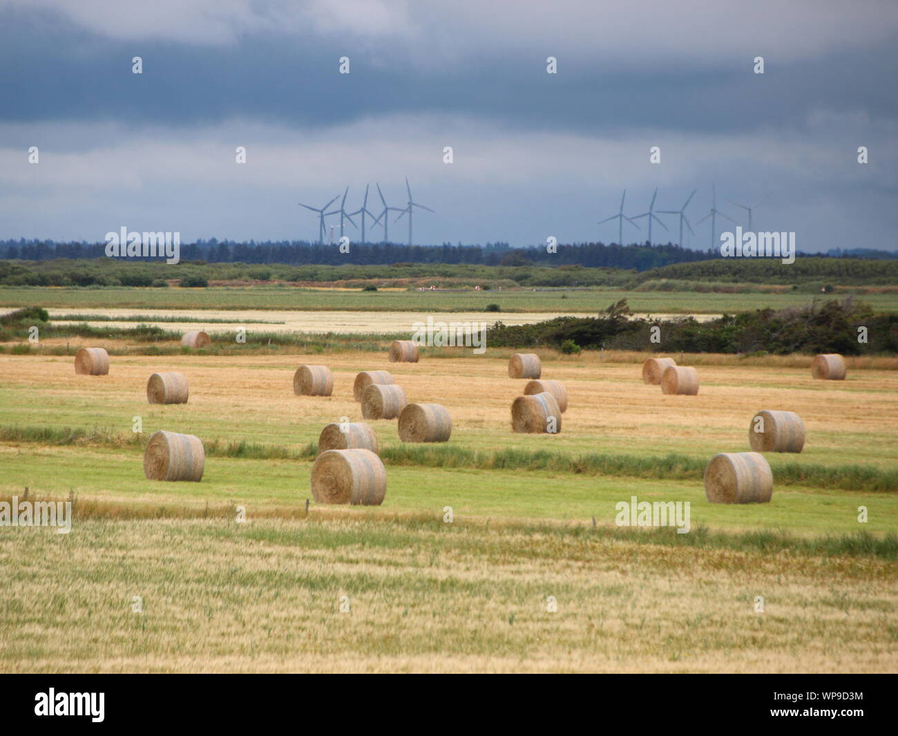 Landschaft mit runden Strohballen und Windmühlen in Dänemark Stockfoto