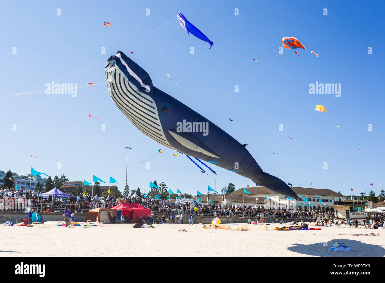 Ocean beach kite festival Fotos und Bildmaterial in hoher Auflösung