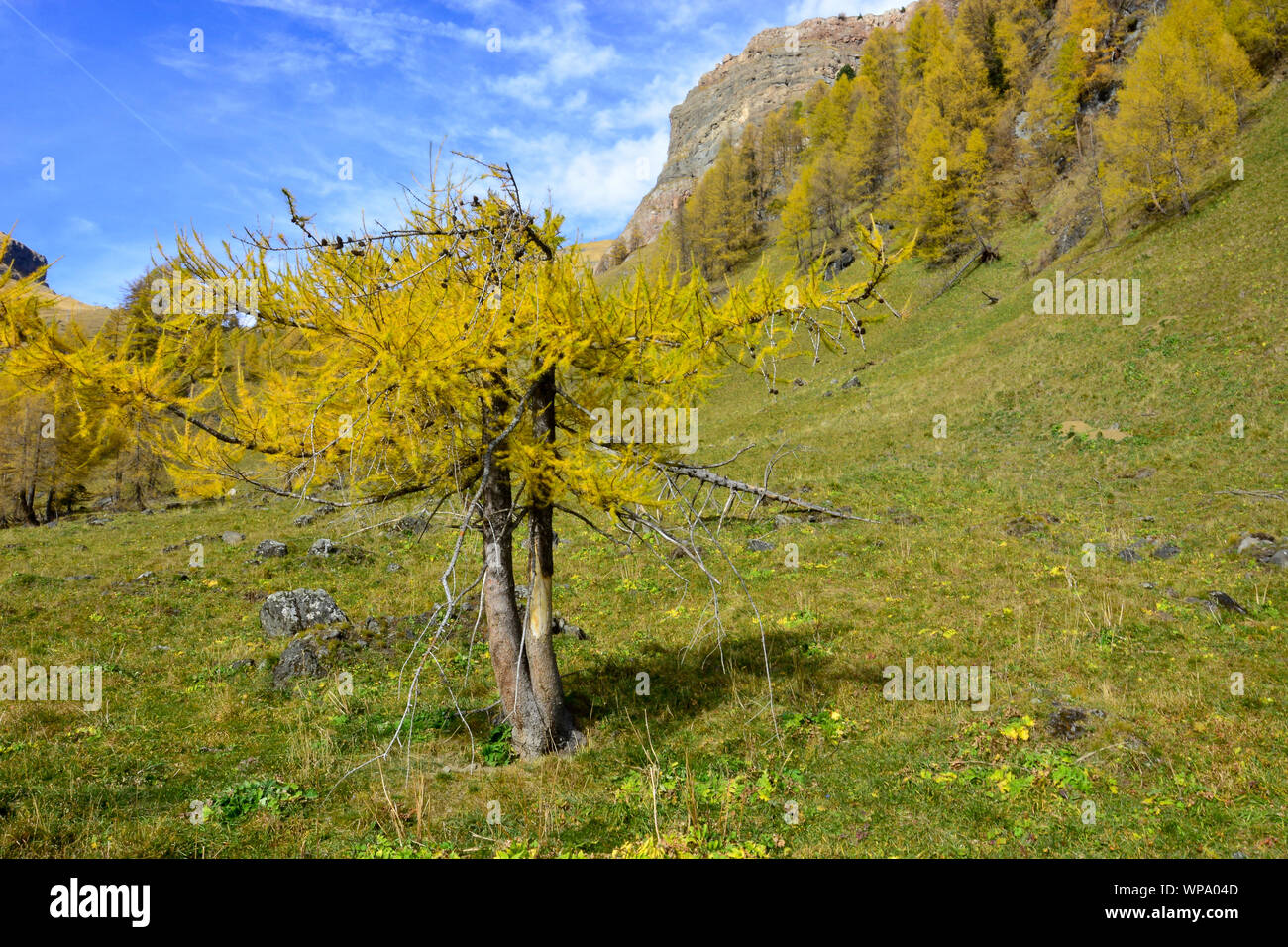 Die schönen Farben des Herbstes Stockfoto