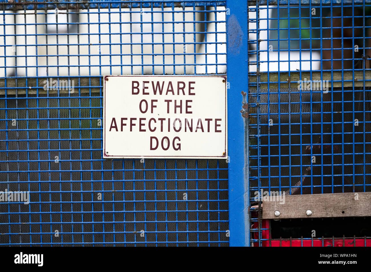 Deaktiviert blau Badgeholder nur max. Aufenthalt anmelden Stockfoto