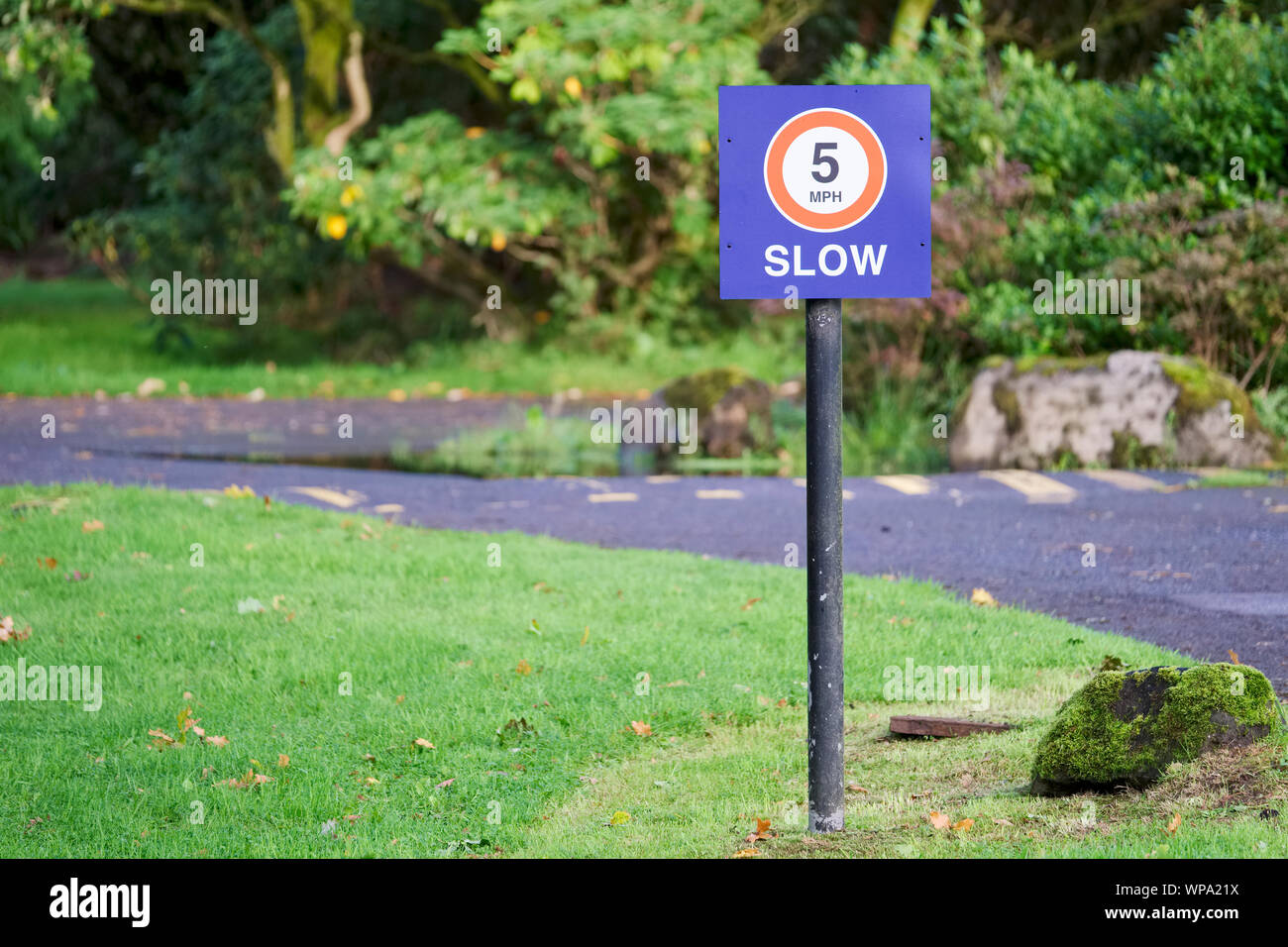 5 mph Höchstgeschwindigkeit Straße Zeichen an öffentlichen Park Stockfoto
