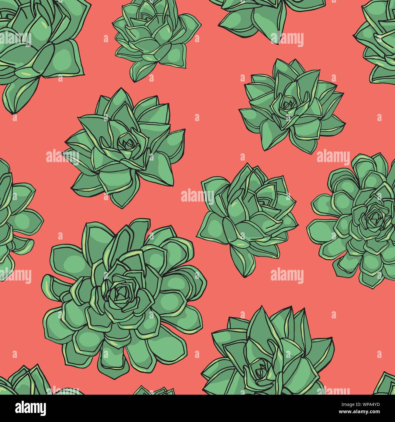 Hand gezeichnet Doodle style nahtlose Muster mit gemeinsamen, hauswurz Sempervivum tectorum Sukkulenten Stock Vektor