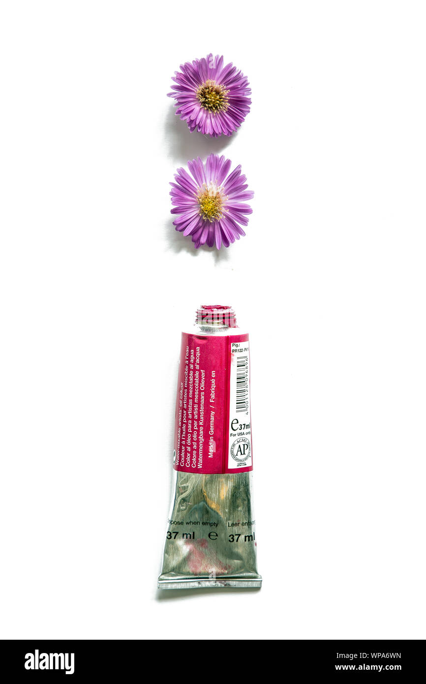 Öl Aquarellmalerei Rohr mit Blumen Stockfoto