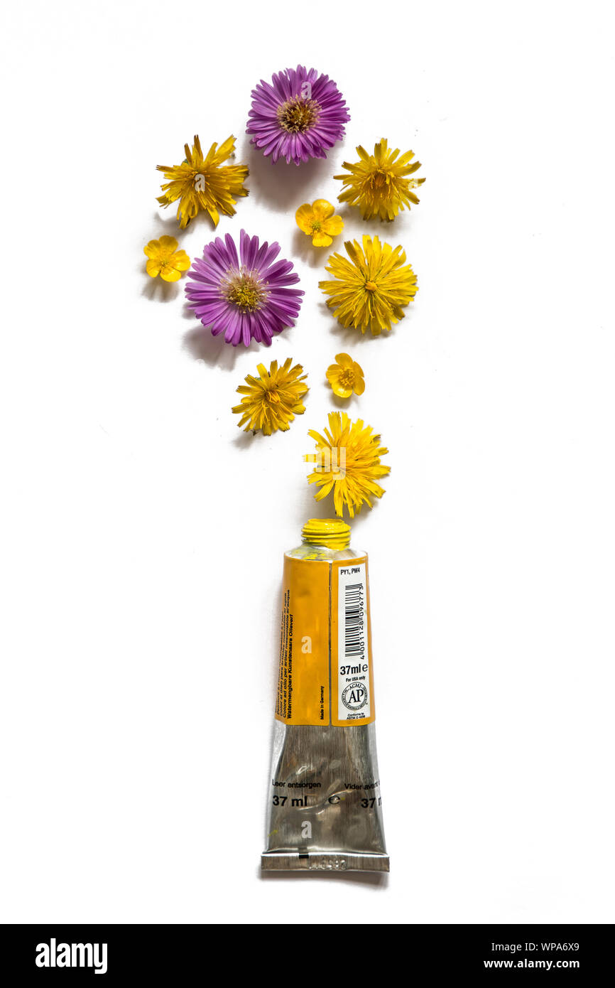 Öl Aquarellmalerei Rohr mit Blumen Stockfoto