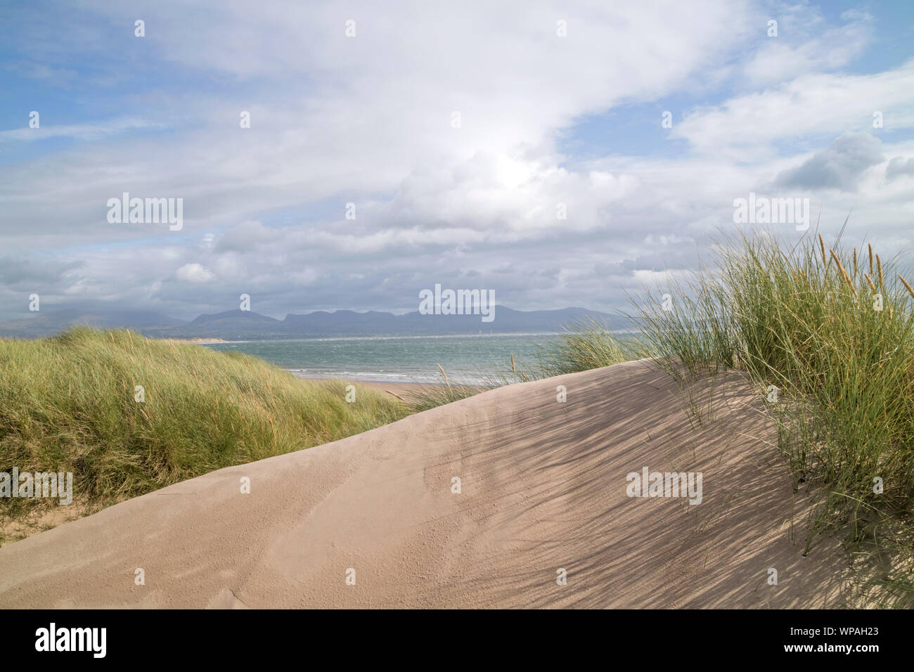 Rhosneigr Warren National Nature Reserve, Ynys Llanddwyn Island, Anglesea, North Wales, UK Stockfoto