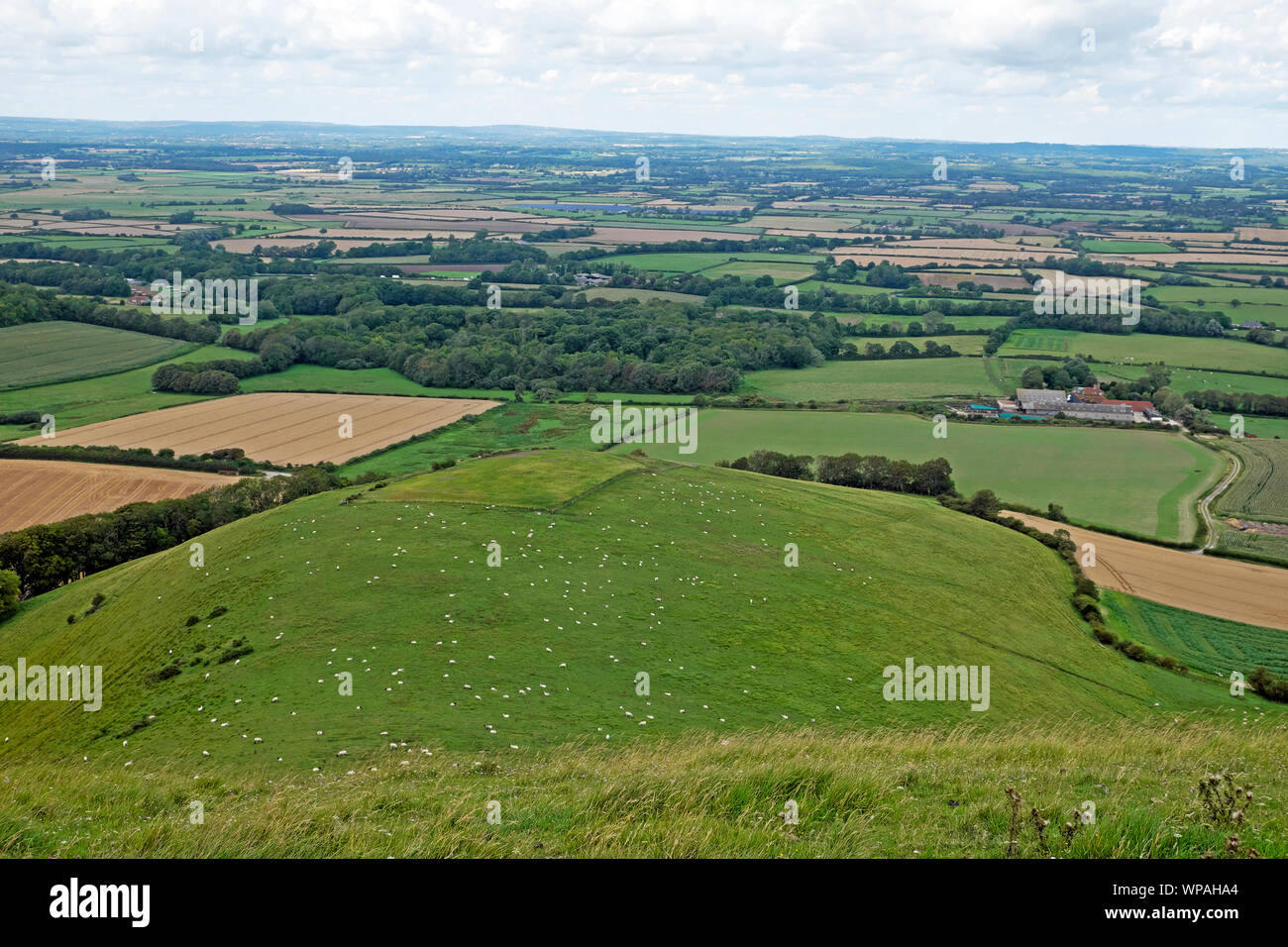 Ansicht der landwirtschaftlichen Landschaft im Sommer nach Lewes aus dem South Downs Way in East Sussex, England UK KATHY DEWITT Stockfoto