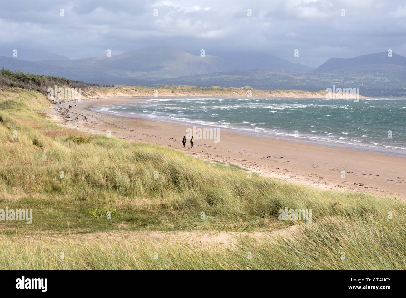 Rhosneigr Warren National Nature Reserve, Ynys Llanddwyn Island, Anglesea, North Wales, UK Stockfoto