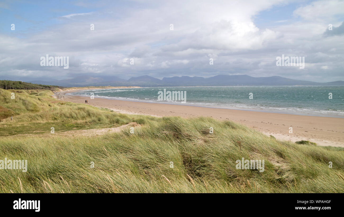 Rhosneigr Warren National Nature Reserve, Ynys Llanddwyn Island, Anglesea, North Wales, UK Stockfoto