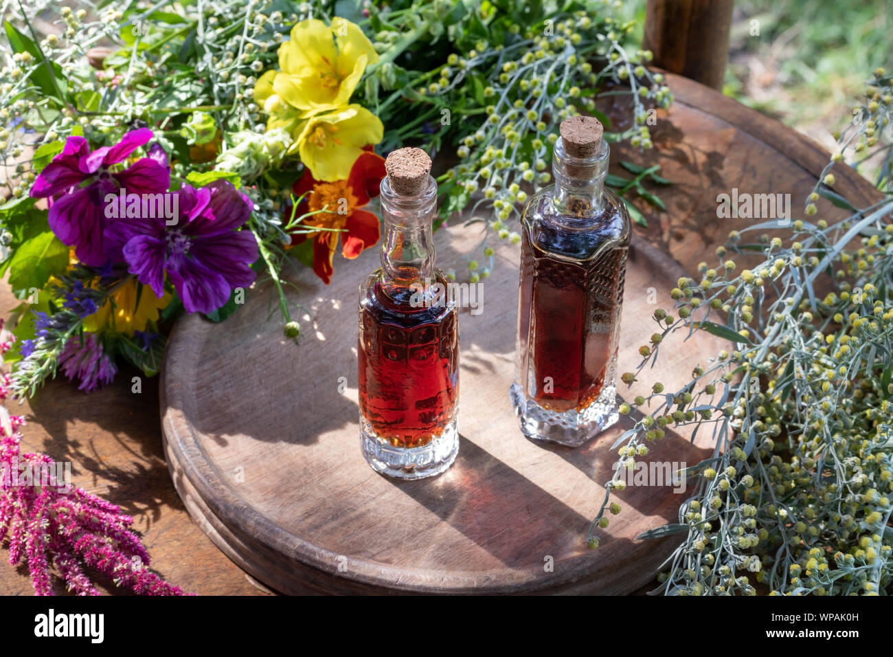 Zwei Flaschen pflanzliche Tinktur aus frischen Wermut, Malve, Königskerze und andere Kräuter Stockfoto