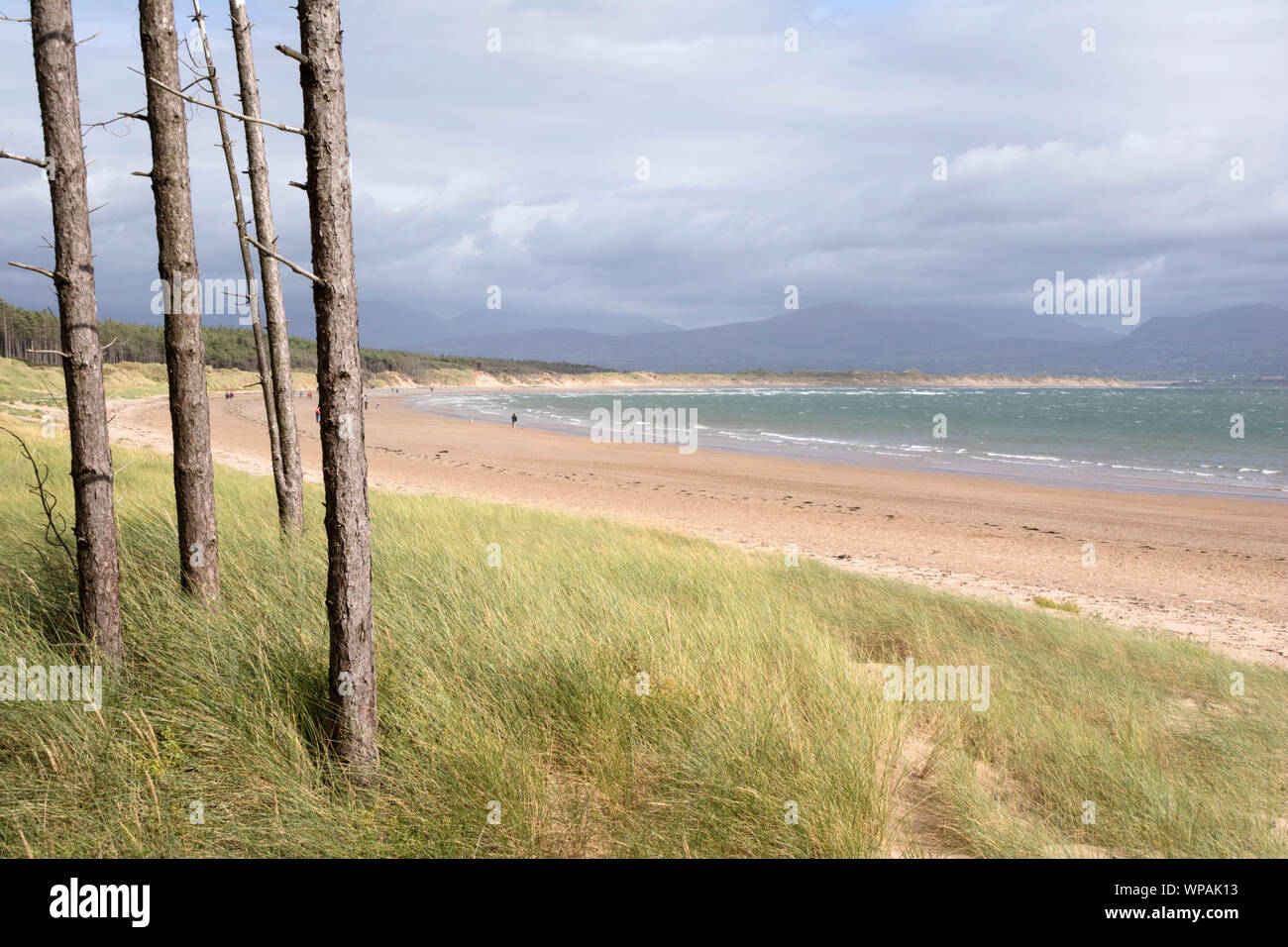 Rhosneigr Warren National Nature Reserve, Ynys Llanddwyn Island, Anglesea, North Wales, UK Stockfoto