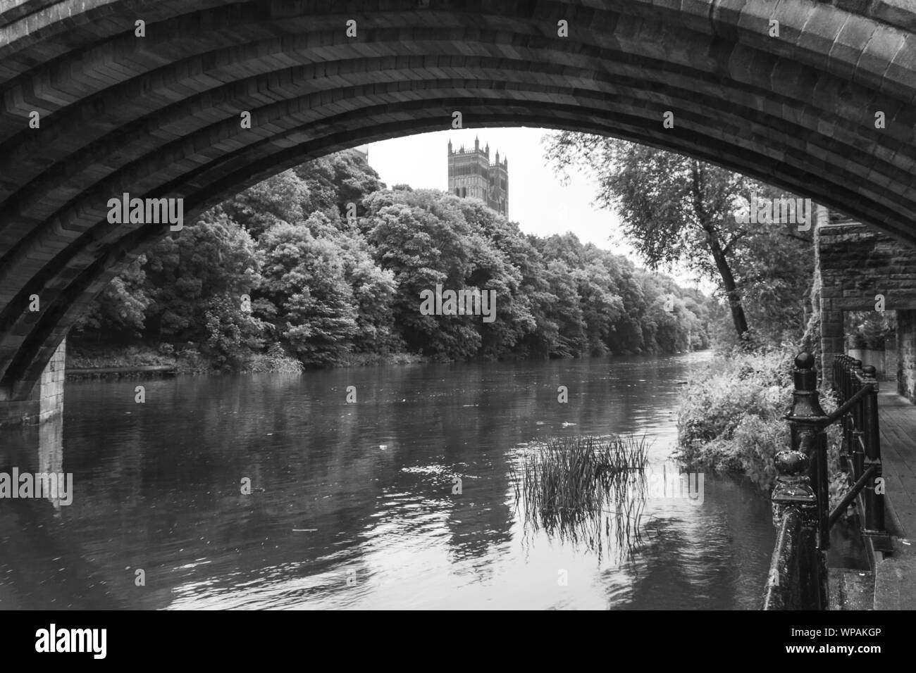 Fluss Wear, Durham Stockfoto
