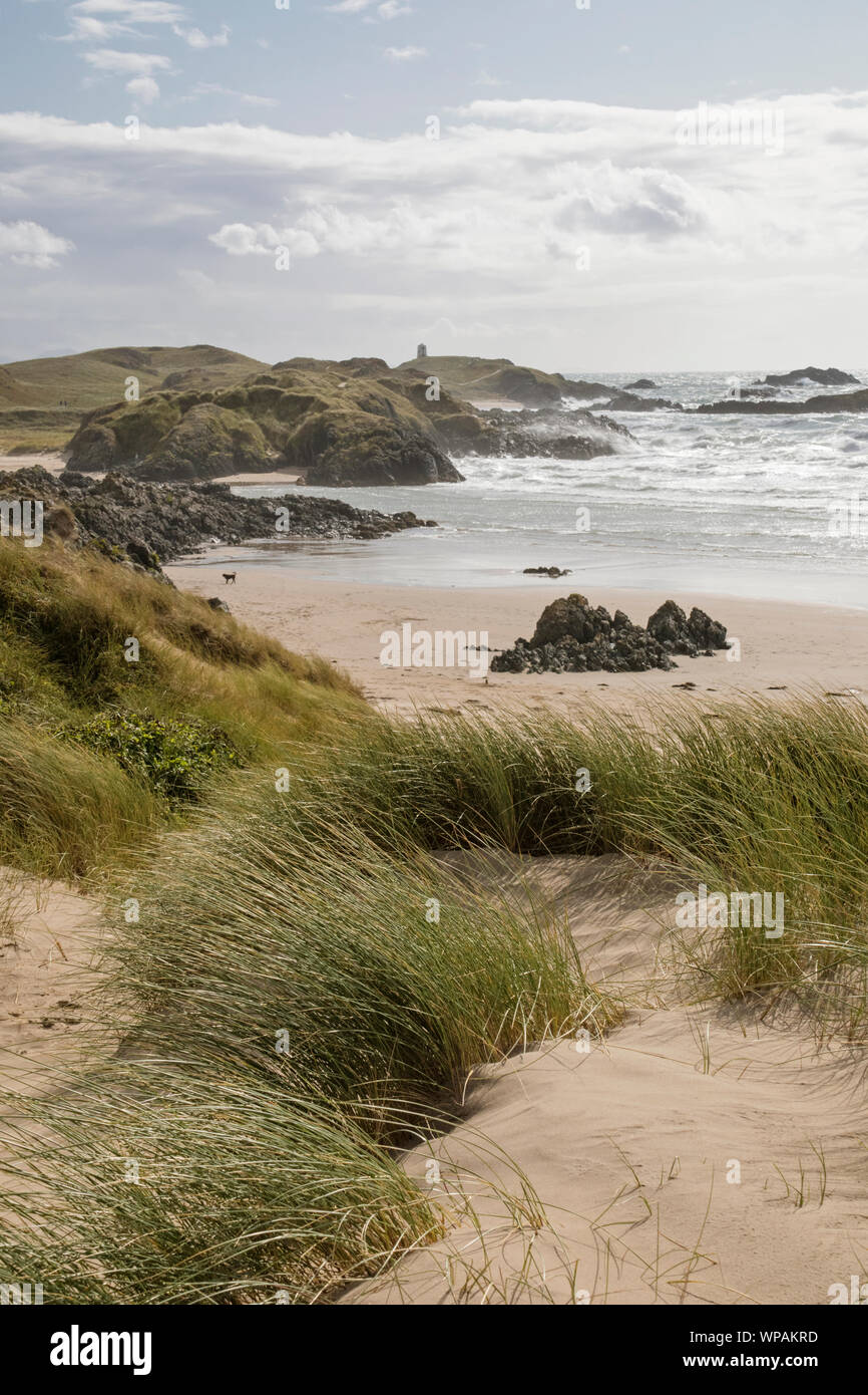 Die fernen Tŵr Mawr Leuchtturm auf llanddwyn Island Teil von staplehurst Warren National Nature Reserve, Anglesey, North Wales, UK Stockfoto