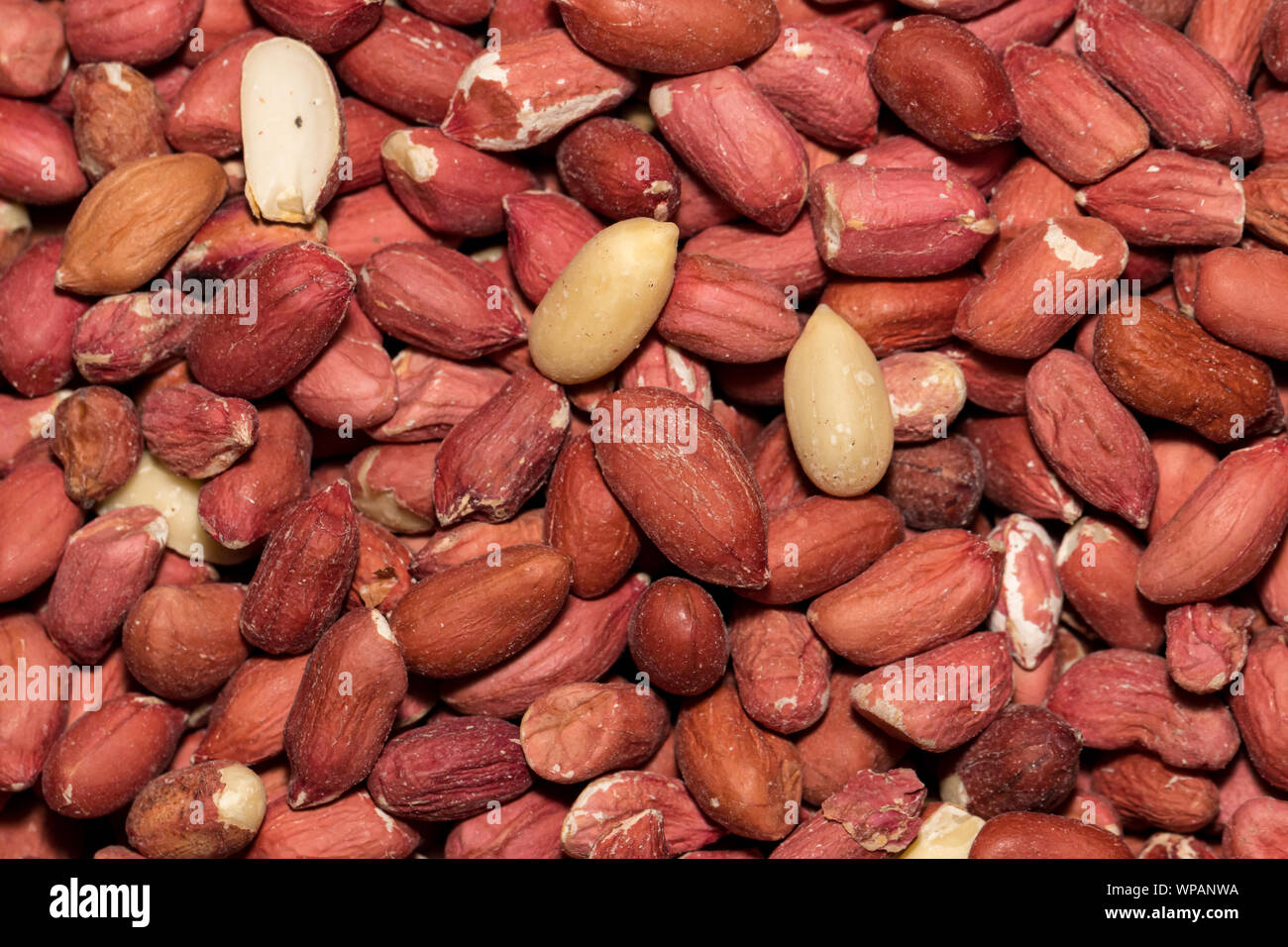 Nahaufnahme der Haufen Erdnüsse ohne Schale für Vögel und Eichhörnchen essen verwendet Stockfoto