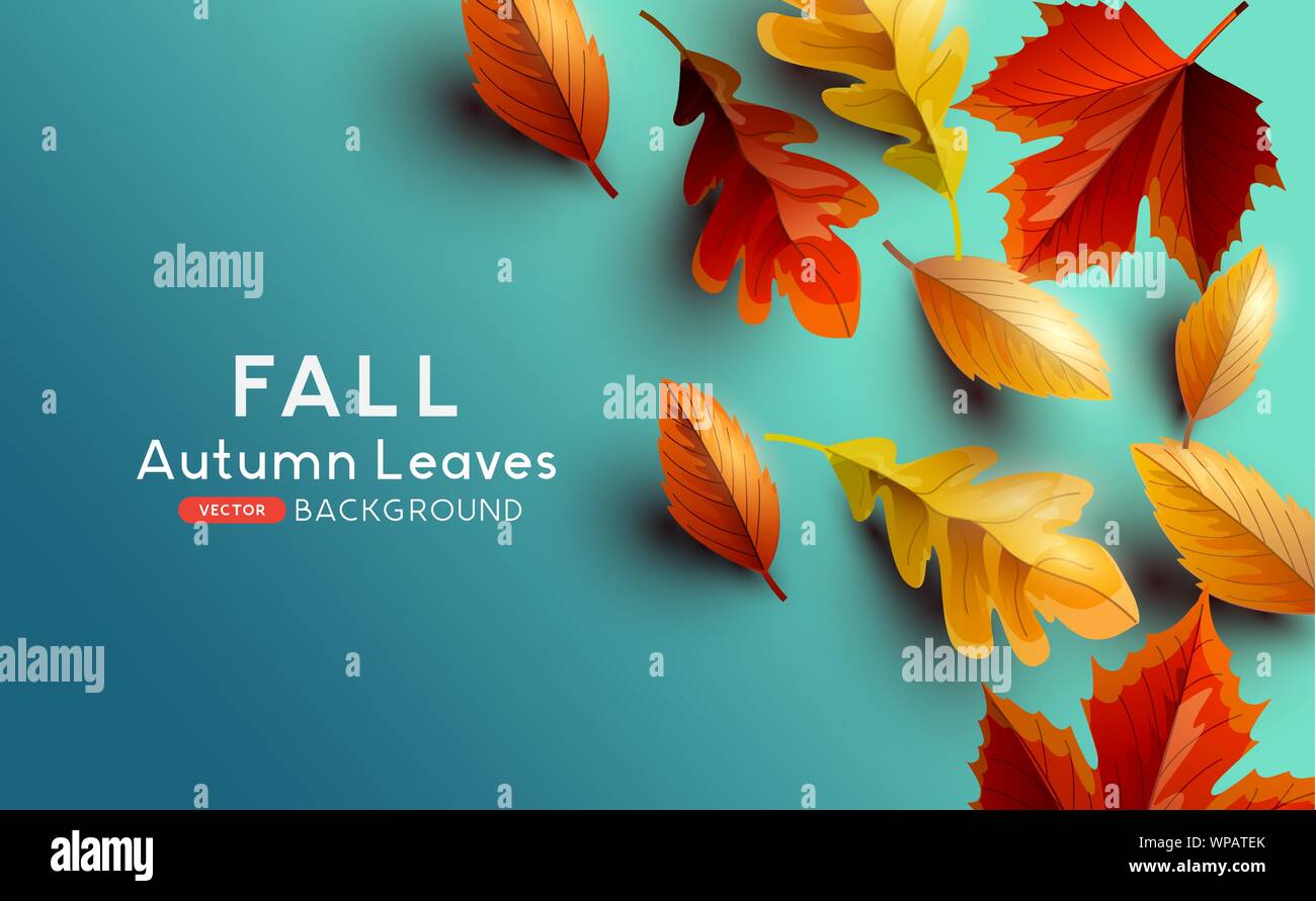 Rot und Golden gefärbte Herbstlaub auf einem blauen Hintergrund. Vector Illustration. Stock Vektor