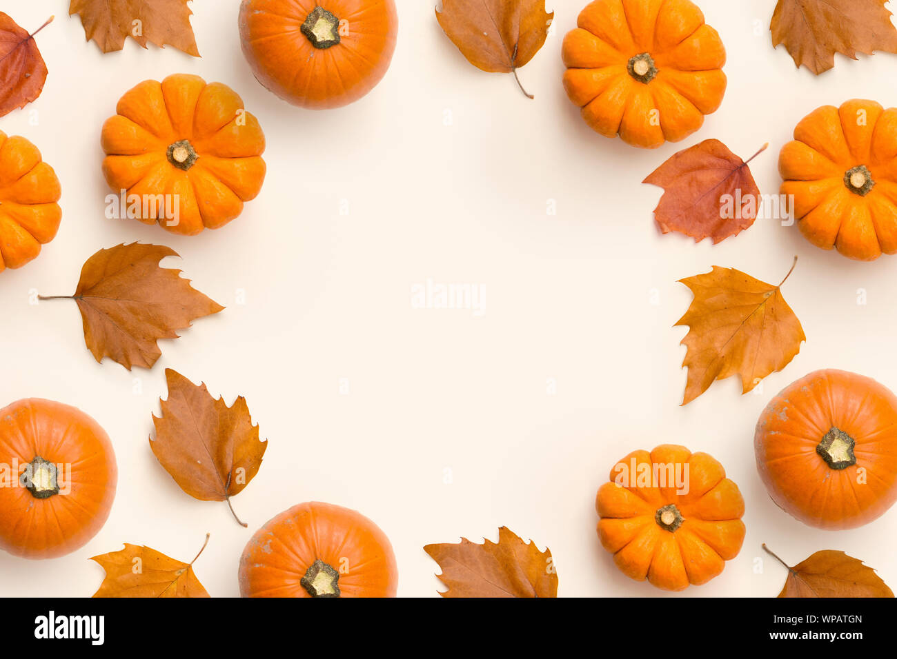 Ein zeitgenössischer Herbst Rahmen Hintergrund mit Kürbissen und Blätter. Stockfoto