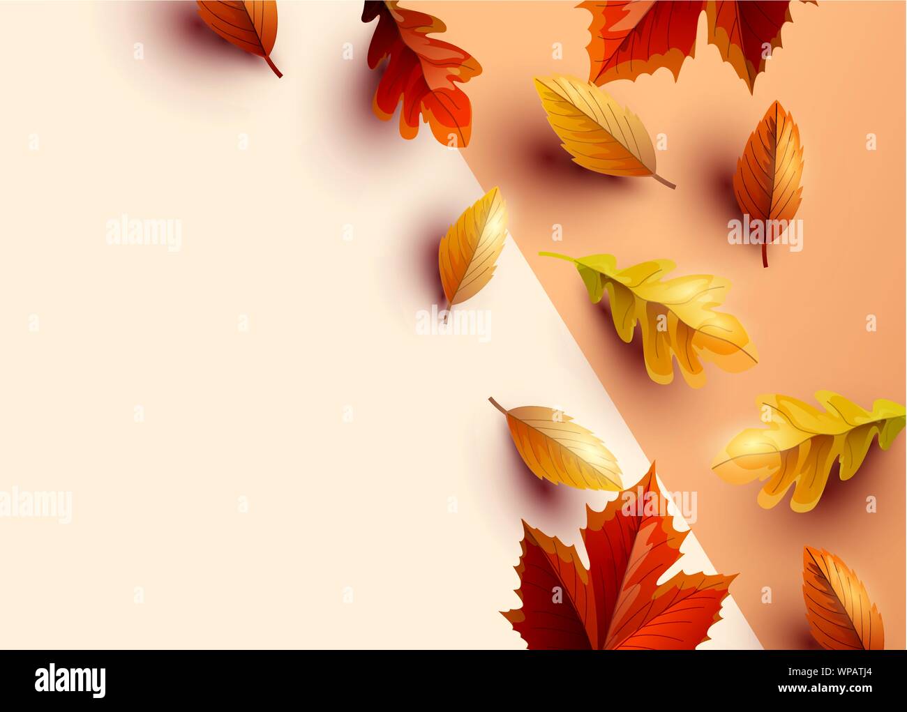 Herbst themed Hintergrund mit bunten Blättern, Vector Illustration. Stock Vektor