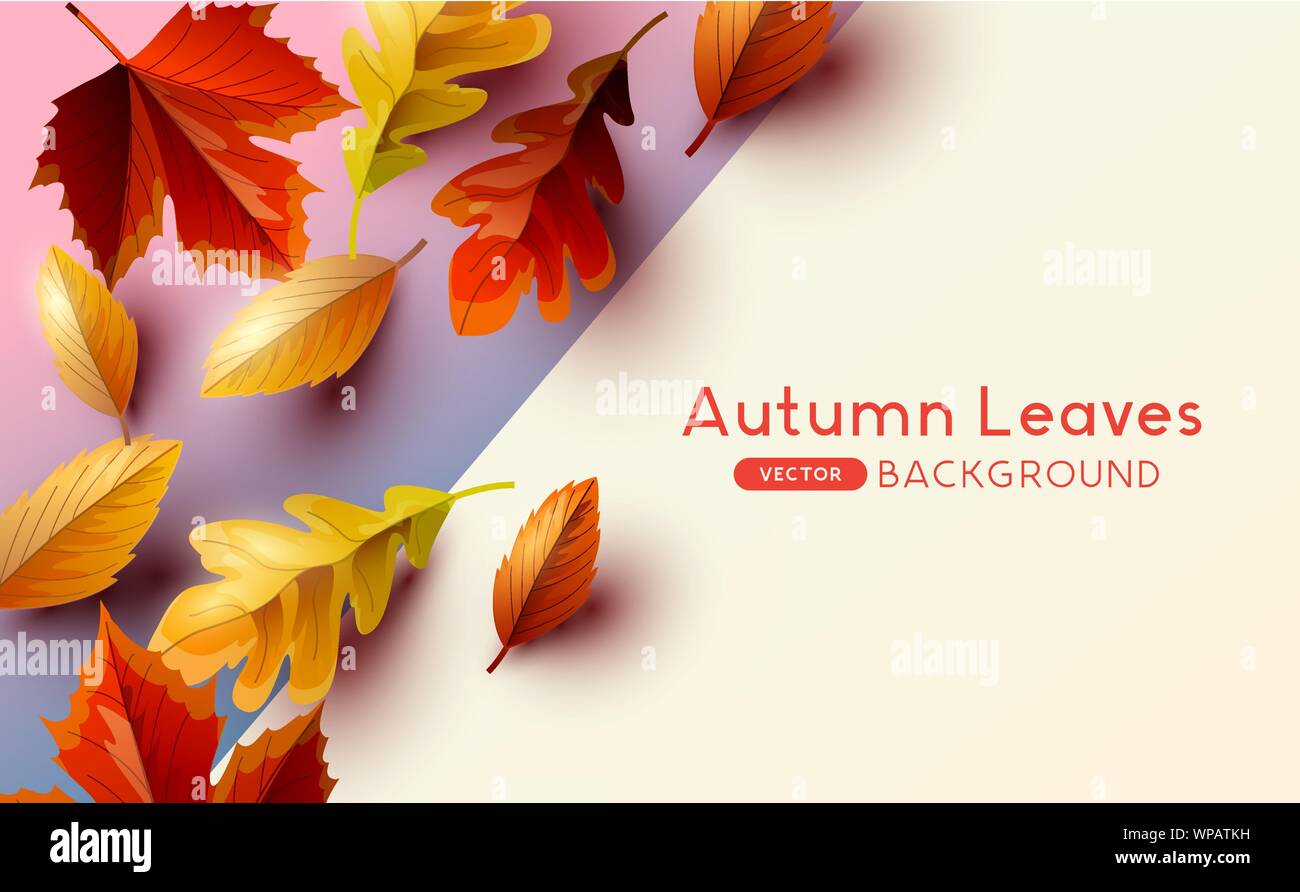 Herbst saisonal Hintergrund Rahmen mit dem fallenden Herbstlaub und Platz für Text. Vector Illustration Stock Vektor