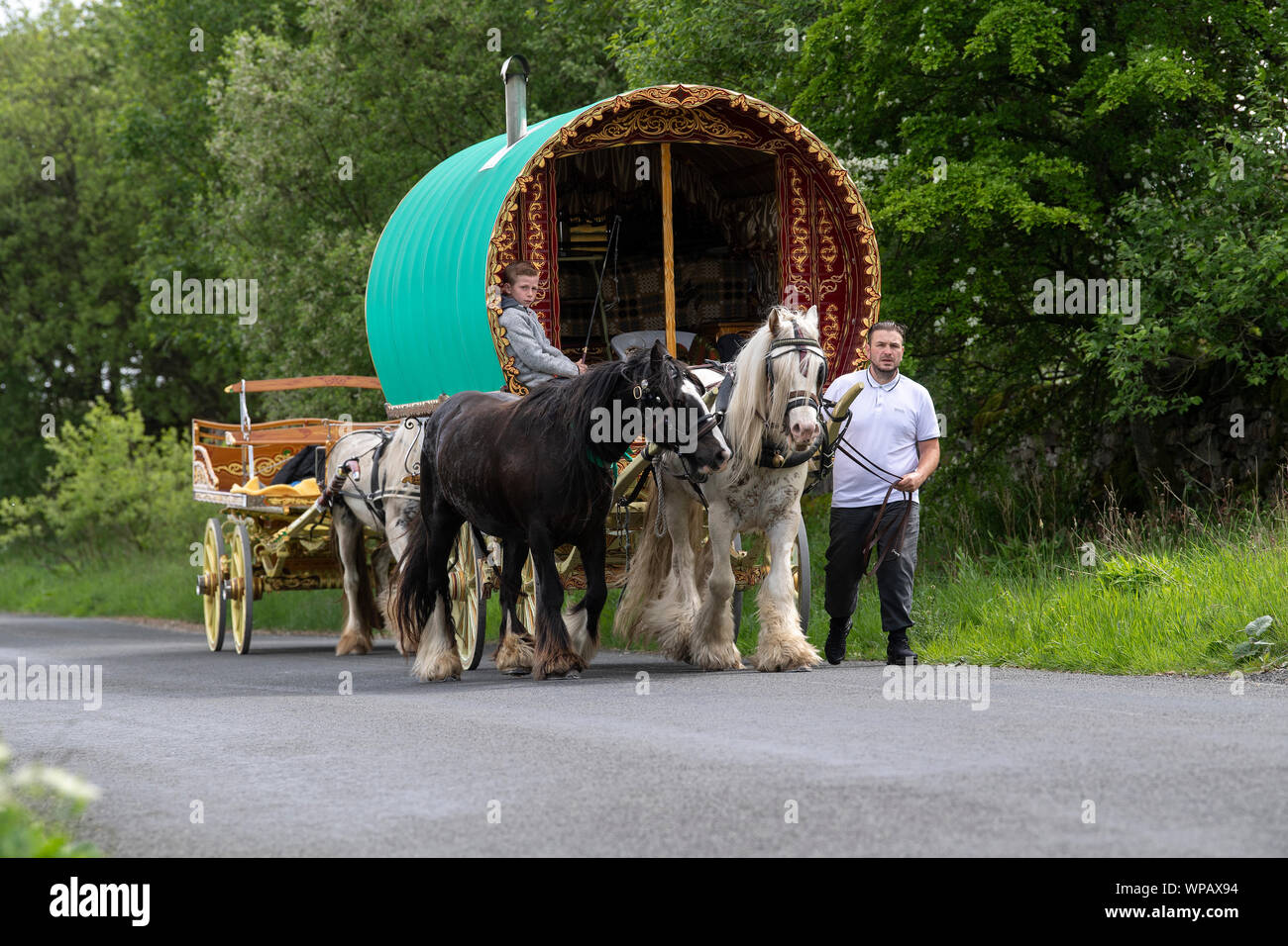 Bogen Gypsy Caravan von zwei Pferden durch ein flaches Bett Warenkorb folgen gezogen, nach unten reisen Mallerstang auf dem Weg nach Appleby Horse Fair. UK. Stockfoto