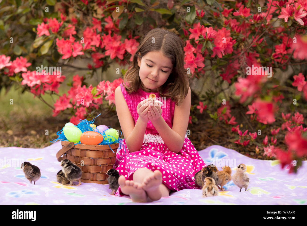 Kleines Mädchen mit Korb und Baby Ostern Küken Stockfoto