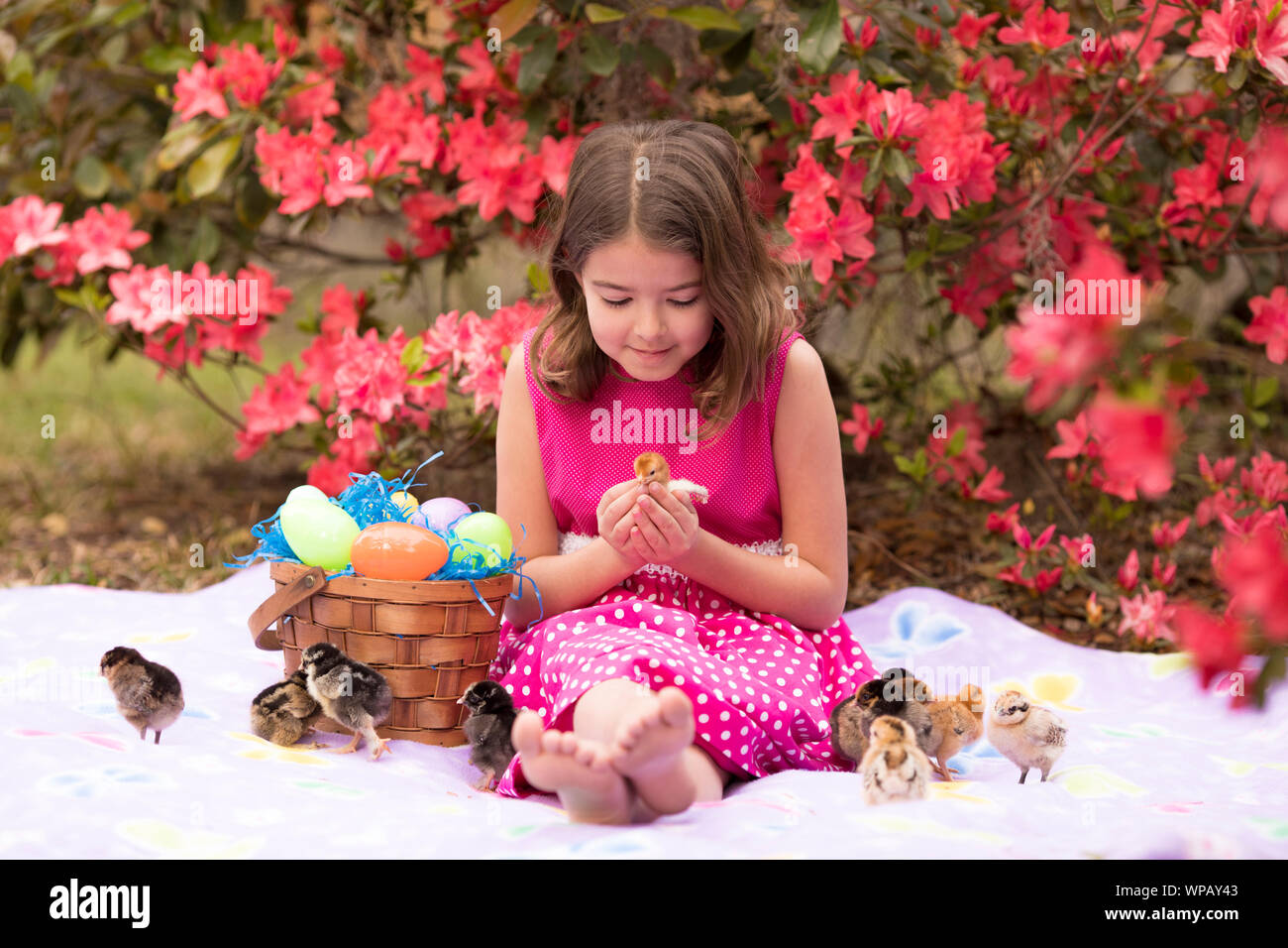 Kleines Mädchen mit Ostern Korb Spielen mit Baby Küken. Stockfoto