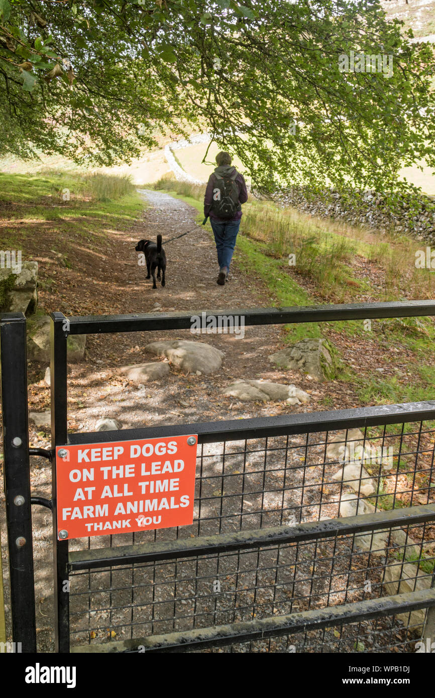 Fußweg die Zeichen, Wanderer, ihre Hunde an der Leine in der Landschaft zu halten. Großbritannien, Großbritannien Stockfoto