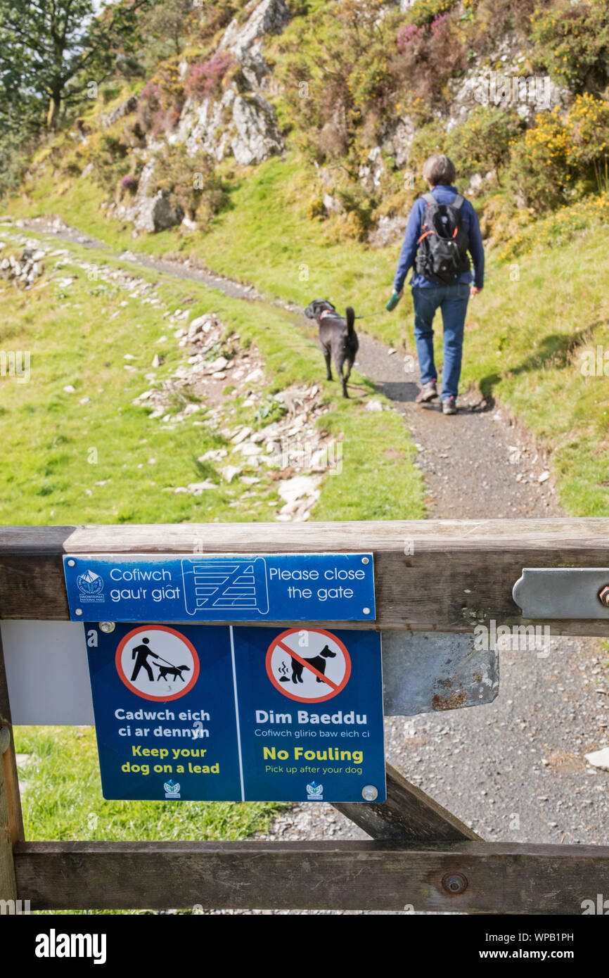 Fußweg die Zeichen, Wanderer, ihre Hunde an der Leine in der Landschaft zu halten. Großbritannien, Großbritannien Stockfoto