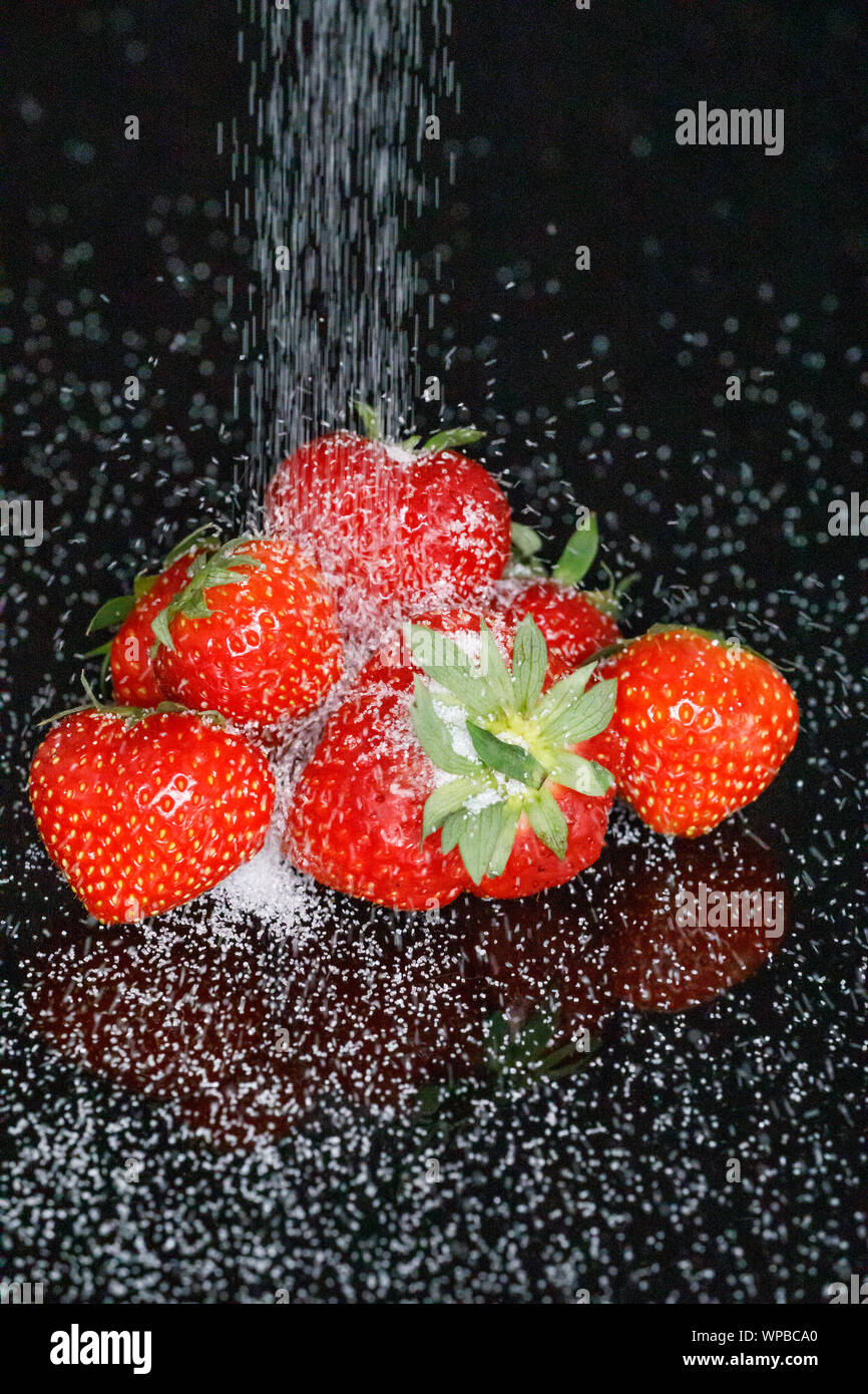 Gießen, Zucker auf frischen roten Erdbeeren Stockfoto