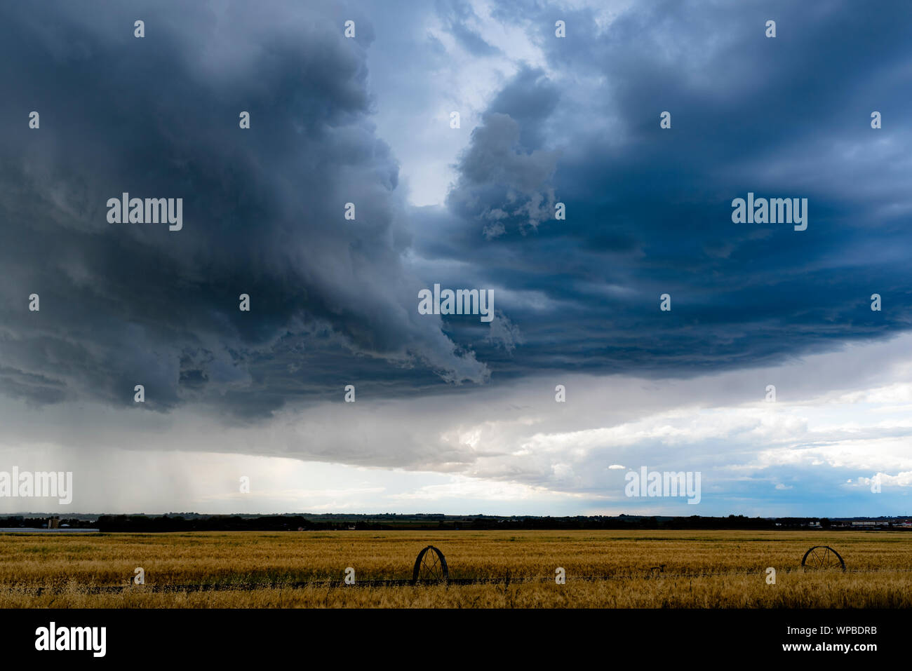 Stürme Wolken rollen auf einer Wiese Landschaft in Medicine Hat, Alberta, Kanada Stockfoto