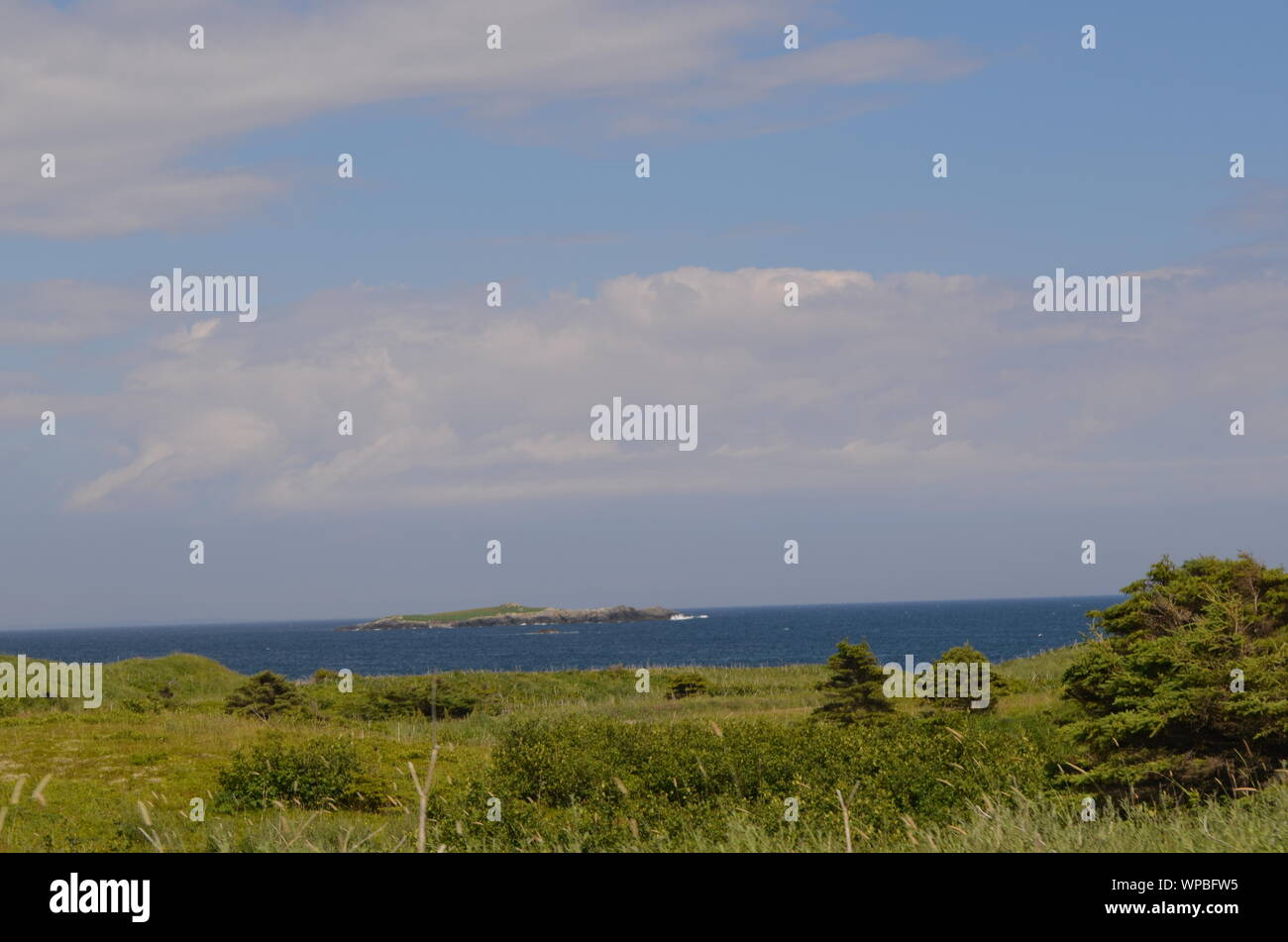 Sommer in Nova Scotia: nach Osten, nach Green Island aus der Nähe von Louisbourg und Blackrock Punkt Stockfoto