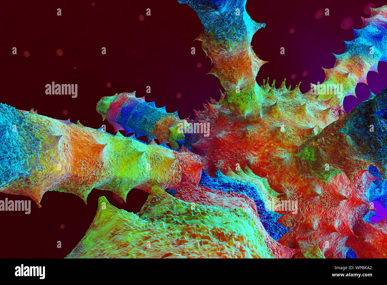 3D-Darstellung eines Virus im menschlichen Körper. Stockfoto