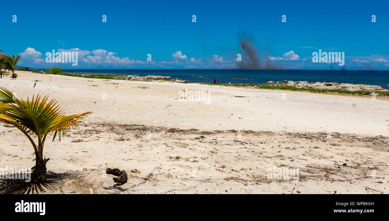 Riesiger Haufen See fliegen erreichen den Strand des Lake Malawi, Afrika Stockfoto