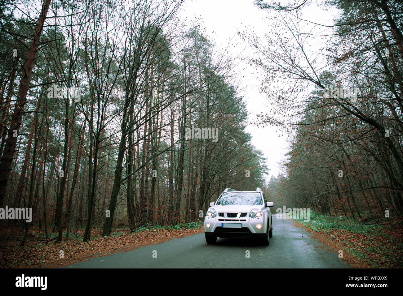 Weiß suv Auto auf Landstraße in Wald im Herbst nebligen Wetter Stockfoto