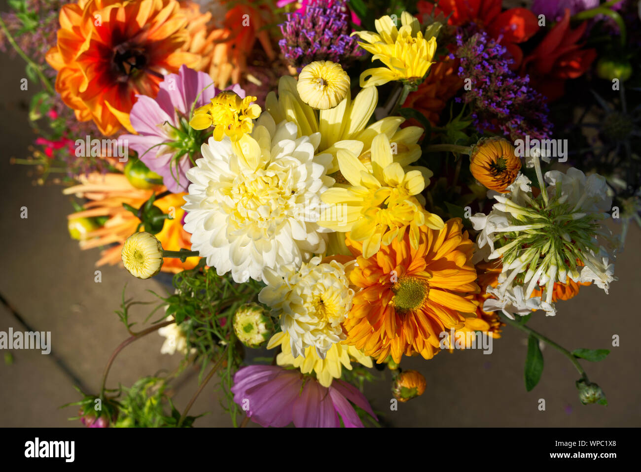 Blick von oben auf die Blumen für den Verkauf Stockfoto