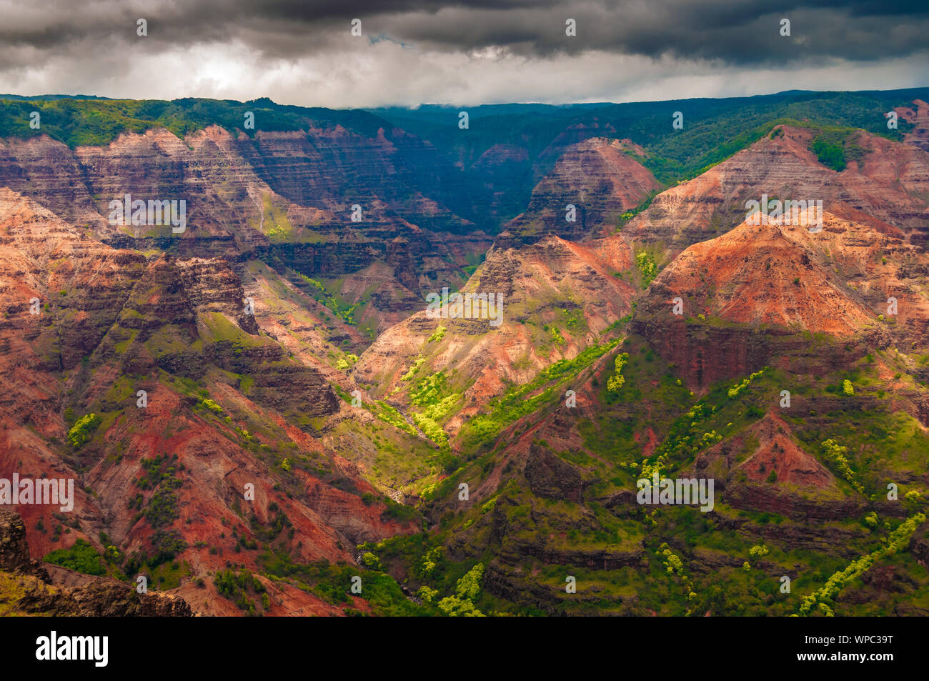 Mit Blick auf den Waimea Canyon State Park auf der Insel Kauai, Hawaii, USA, genannt der Grand Canyon des Pazifik. Stockfoto