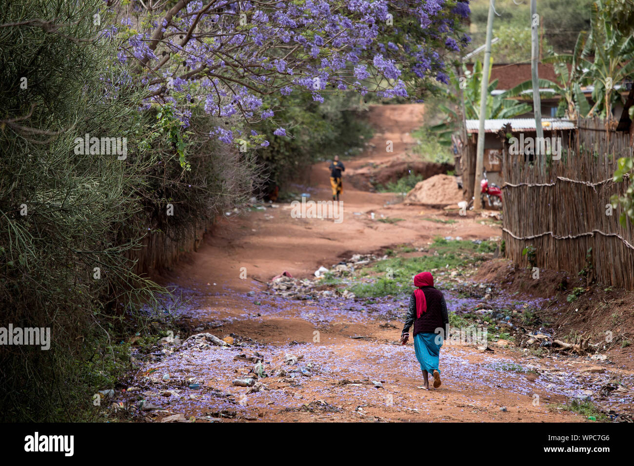 Bunte Straßenszene in der Borana Region des südlichen Äthiopien. Stockfoto