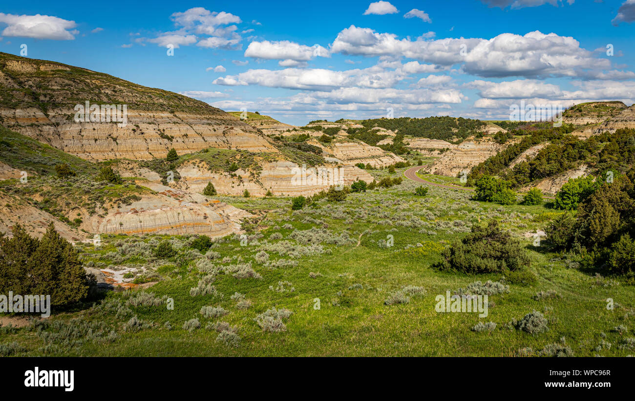 Die Scenic Loop Road bei Theodore Roosevelt National Park bietet unzählige spektakuläre Sommer Aussichtspunkte. Stockfoto