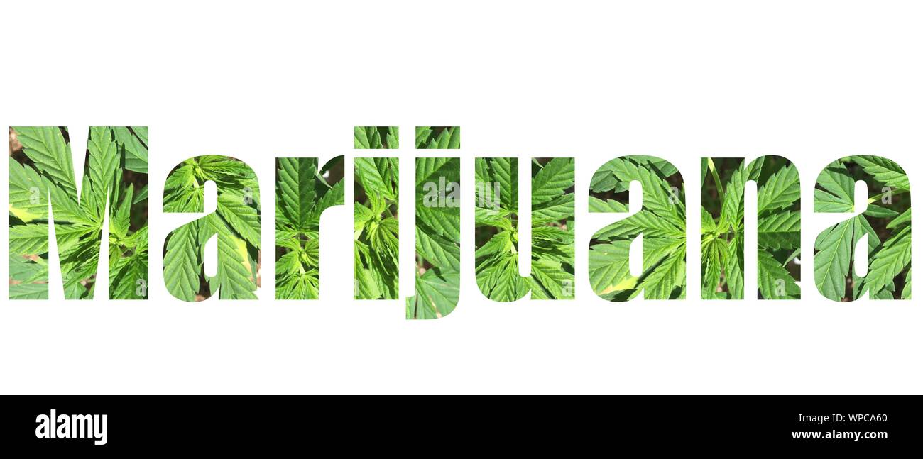 Marihuana Typografie mit Marihuana lässt im Text Stockfoto