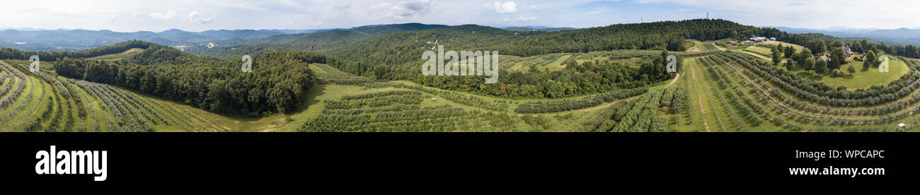 Antenne 360 Grad Panorama von Apfelplantagen in North Carolina in der Nähe von Asheville. Stockfoto