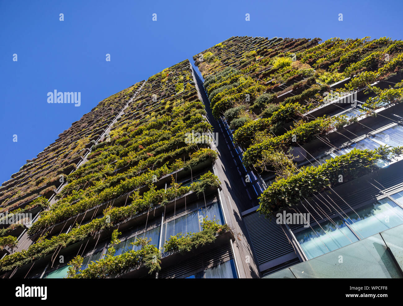 Eine Central Park in Sydney - eine ungewöhnliche green building Stockfoto