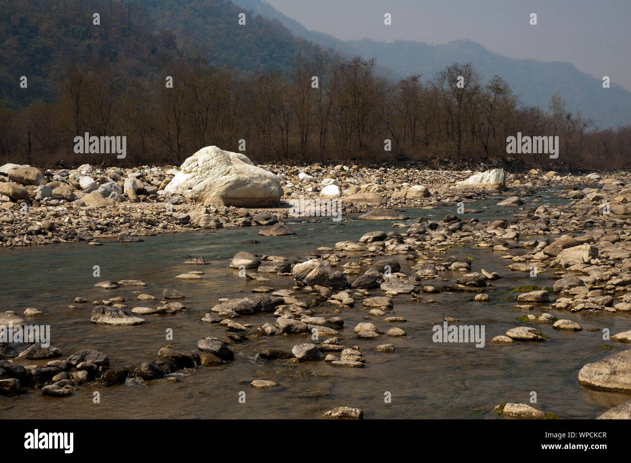 Steinigen Bett des Ladhya River. Der Fluss war berühmt durch Jim Corbett in seinem Buch Menschenfresser von Kumaon, Uttarakhand, Indien Stockfoto