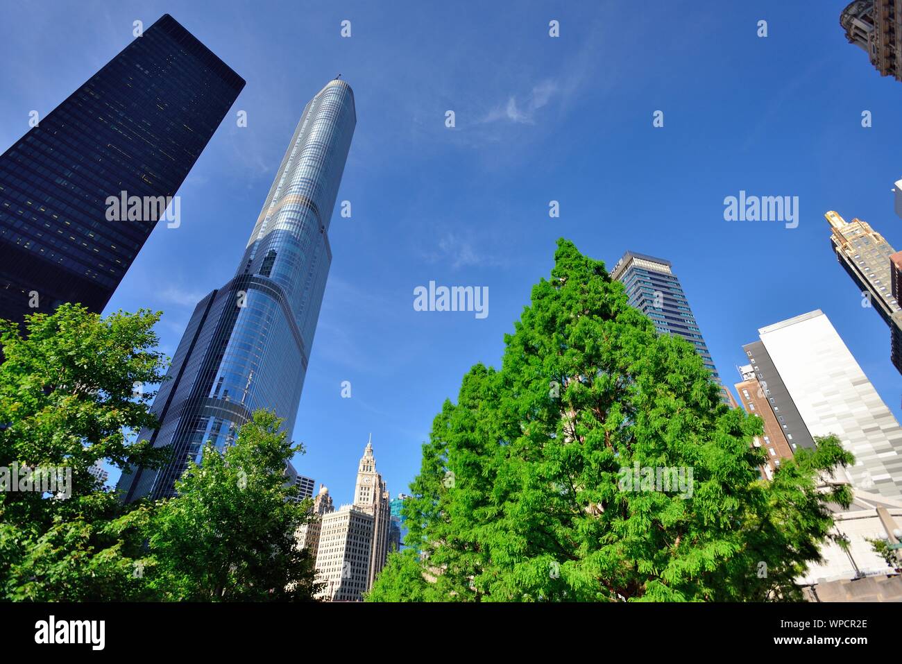 Chicago, Illinois, USA. Eine extreme Ansicht eines Segments der Skyline der Stadt entlang des Chicago River dominiert von Trump Tower. Stockfoto