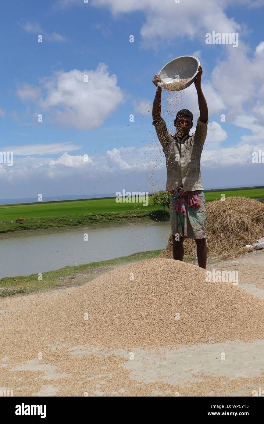 Reinigen von Paddy in Desi/Classic/Vintage Style mit den Luftstrom. Stockfoto