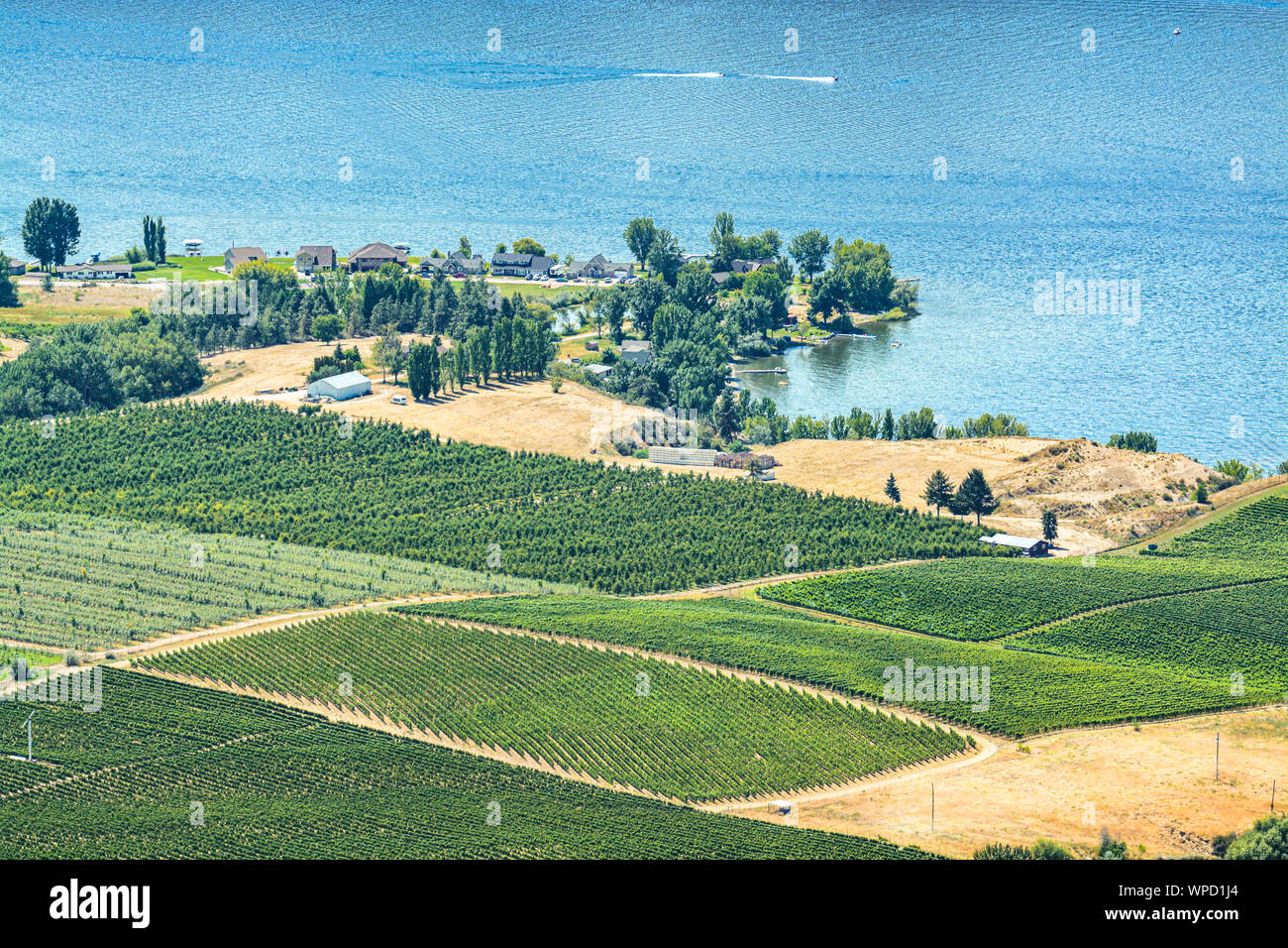 Landschaft Übersicht mit Farmer's Land am Okanagan Lake auf der sonnigen Sommertag Stockfoto