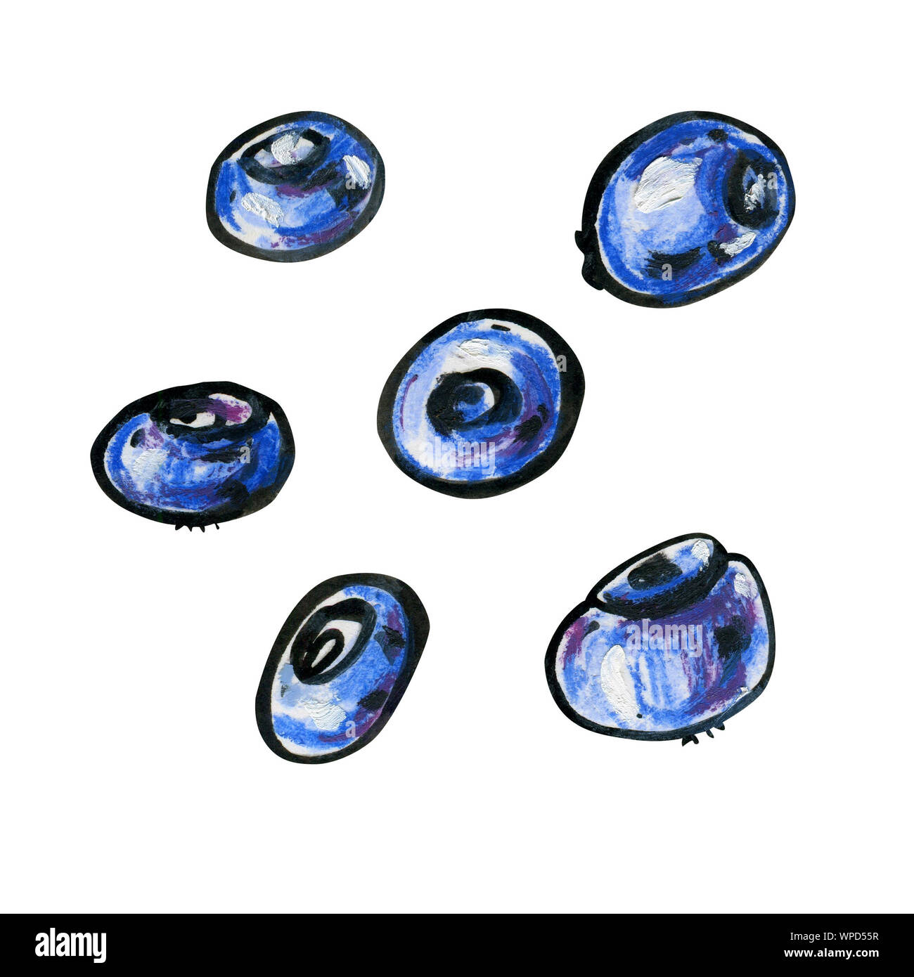 Sechs Blaubeeren auf einem weißen Hintergrund. Grafik cartoon wilden Wald Beeren in Blau und Violett mit schwarzer Outline. Stockfoto